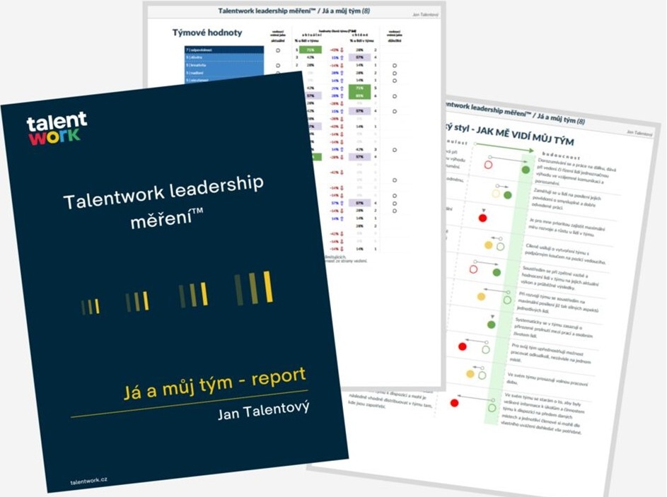 Autentický lídr – nabídka podrobné analýzy